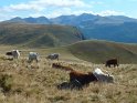 2012-09-19 15-19-31 la Banne d'Ordanche MBo